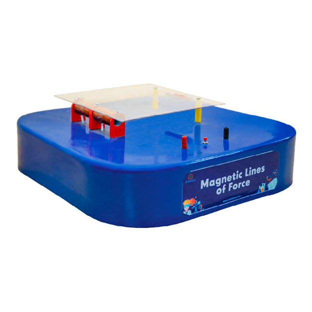 Magnetic Lines of Force – Interactive STEM Lab Exhibit | Visualize Magnetic Fields for CBSE, ICSE, IB Physics | Ideal for Classes 6-10 | Age 11+ | Hands-On Magnetism Learning Tool | Ankidyne